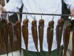 CU  View  of Trout smokery / Trassem near Saarburg, Rhineland-Palatinate, Germany Stock Footage