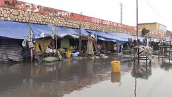 CLEAN : Congolese expelled from Brazzaville appeal for help News Clip