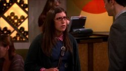 'Big Bang Theory' star on new season of CBS hit and her appearance in 'Jew in the City' web series News Clip
