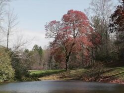 Fall lake in the Blue Ridge Mountains, Virginia, USA Stock Footage