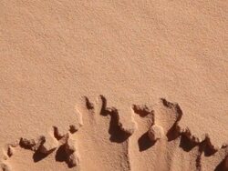 erosion Stock Footage