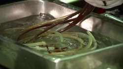 Science takes food to a new level in upmarket restaurants +FIRST RUN MAY 2+ Instructional Video