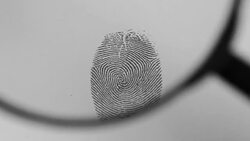 Fingerprint Magnifying Stock Footage