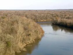 WS AERIAL View of congaree national park and river / South Carolina, United States Stock Footage