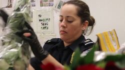Valentine's Day flowers inspected at US ports Instructional Video