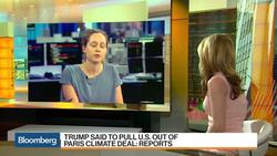 What's at Stake If U.S. Leaves Paris Agreement? News Clip