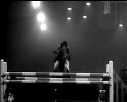 SHOW JUMPING News Clip