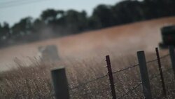 Combine Harvester in Fall - Two Combines Stock Footage
