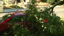 US summer storms leave millions without power Instructional Video