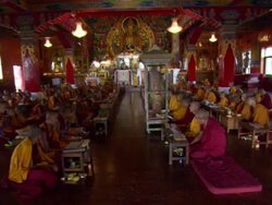 WS ZI Many young Buddhist monks chanting on  wooden floor at Kopan monastery  / Kathmandu, Central, Nepal Stock Footage