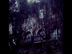 LIB 10-4-73 DEATH OF PABLO PICASSO News Clip