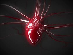 Reflective heart animation Stock Footage