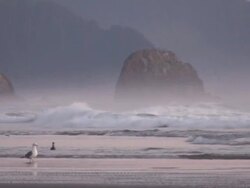 Oregon Pacific Coast Stock Footage