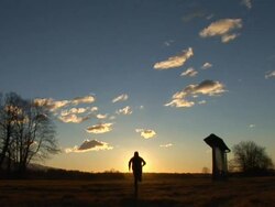 PAL: Morning Run Stock Footage