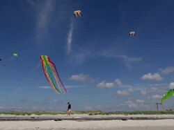 WS View of beach kites flying in sky, North Sea North Frisia, / St. Peter Ording, Schleswig Holstein, Germany Stock Footage