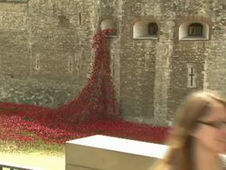 Poppy World War 1 memorial at the Tower of London News Clip