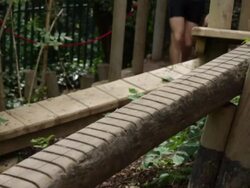 Male stepping on balancing bar on fitness trail Stock Footage