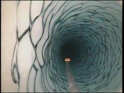 Scientists find shrimp-like creature under Antarctic ice sheet Instructional Video