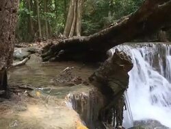 Waterfall in tropical rainforest Stock Footage