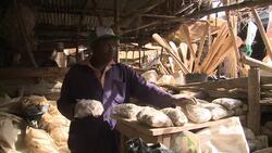 VOICED : Rock cravings for pregnant women News Clip