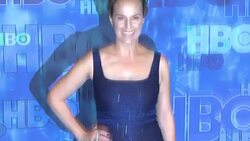 Melora Hardin at the HBO's Post Emmy Awards Reception - Arrivals Stock Footage