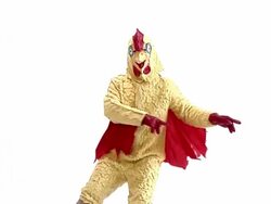Dancing Chicken Stock Footage