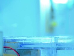 Scientist and bio lab experiment Stock Footage