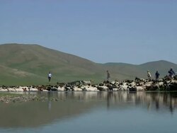Zoom in to nomads making flock of sheeps and goats cross a river Stock Footage