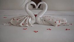 Swan towel Stock Footage