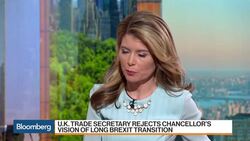 U.K.'s May Leaves Brexit Squabble to Cabinet Members News Clip