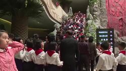 CLEAN : Crowds visit Pyongyangs Zoo News Clip