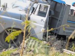 close up dolly : man dig soil out Stock Footage