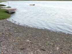 Camera pans from rocky shoreline to Red Tide warning sign - NO SHELLFISHING CONTAMINATED AREA - with watre, rocky shore, and small boats in background Stock Footage
