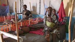 CLEAN : S Sudan: tens of thousands displaced by fighting near Wau (2) News Clip