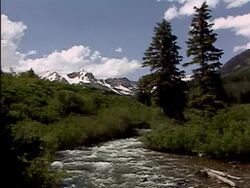 Mountain stream near Gothic, Colorado Stock Footage
