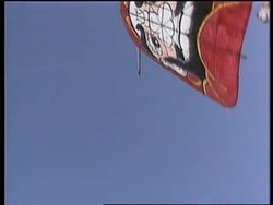 Japan - Bountiful bamboo News Clip