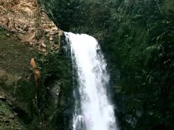 Cloudforest Waterfall Stock Footage