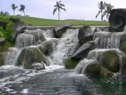 Waikoloa golf course waterfall Stock Footage