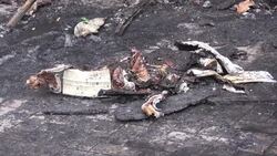 Two dead and one injured after shelling hits town in restive east News Clip