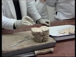 Brain museum in Lima is macabre but interesting News Clip