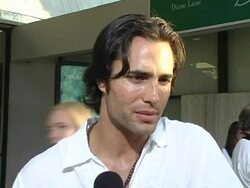 'Must Love Dogs' Los Angeles Premiere Stock Footage