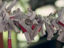Omikuji (fortunes written on paper found at Japanese shrines) moving in the breeze. Stock Footage