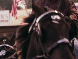 A cowboy rides a team of six black horses around a rodeo ring - slow motion. Stock Footage