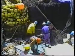 Fishing near Galapagos islands killing dolphins News Clip