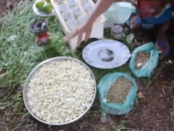 Ethiopian woman serving popcorn for coffee ceremony Stock Footage