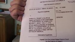 Analysis: Trump travel ban dealt another blow News Clip