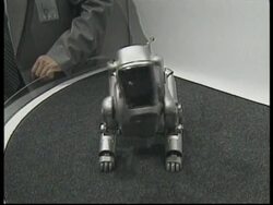 JAPAN: SONY ROBOTIC DOG AIBO TO GO ON SALE News Clip