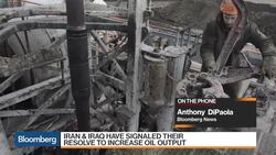 U.A.E. Warns OPEC Against Hasty Decisions News Clip