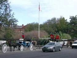 Jackson Square traffic and carriages from Decatur Street in New Orleans Stock Footage