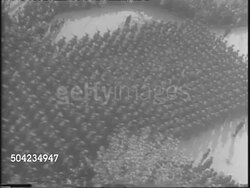 Parade At Port Lyautey And Aid In Russia News Clip